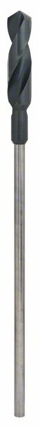 Bosch PRO Wood HSS -asennusporanterä, 24 x 100 x 400 mm